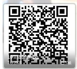 支付宝每天 10 点 20 元毛