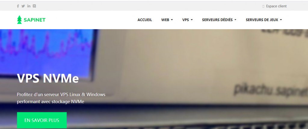 Sapinet：€3/月/2 核/2GB 内存/30GB NVMe 空间/不限流量/100Mbps-500Mbps 端口/DDOS/KVM/德国