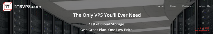 1TBVPS：$20/月/4 核/8GB 内存/1TB 空间/20TB 流量/1Gbps 端口/KVM/凤凰城