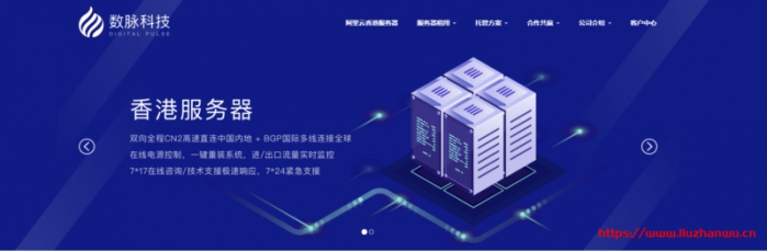 数脉科技：4-5 月优惠促销！香港优质 BGP 线路服务器
