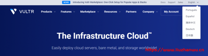 Vultr：中文版官网上线，按小时计费 VPS，包月 5 元，随时换 IP，注册送 100 美元