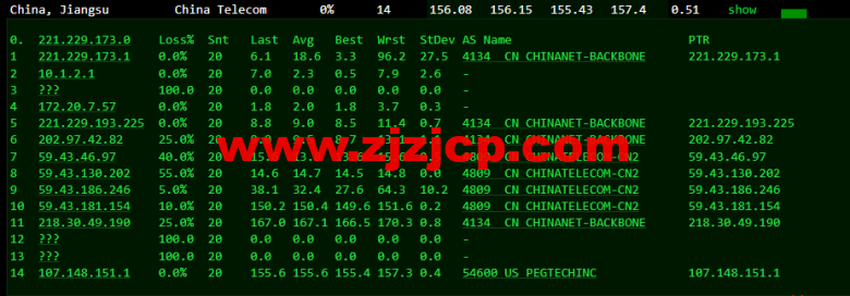 raksmart：美国洛杉矶机房独立服务器，cn2 30M 线路，机器性能/流媒体/线路等测评数据分享