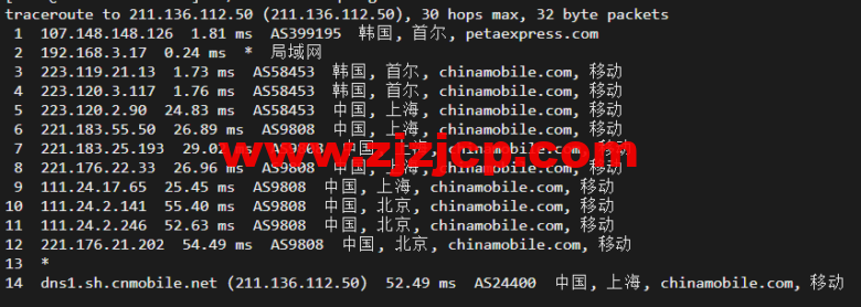 raksmart：韩国首尔机房独立服务器，精品网 10M 线路，机器性能/流媒体/线路等测评数据分享