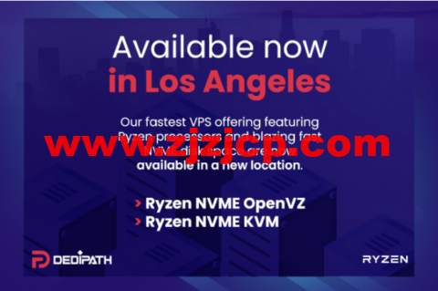 DediPath：洛杉矶机房，新上 Ryzen NVME VPS，1 核/512M 内存/10G NVME 硬盘/1TB 流量/1Gbps 带宽，$44.00/年