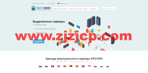 #上新#ProfitServe：荷兰阿姆斯特丹机房，1 核/1G 内存/10G SSD 硬盘/不限流量/1Gbps 带宽，月付$2.88 起