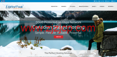 #抗投诉无版权#underhost：荷兰 VPS，1 核/2G 内存/25G nvme 硬盘/1TB 流量/1Gbps 带宽，$59.95/月起