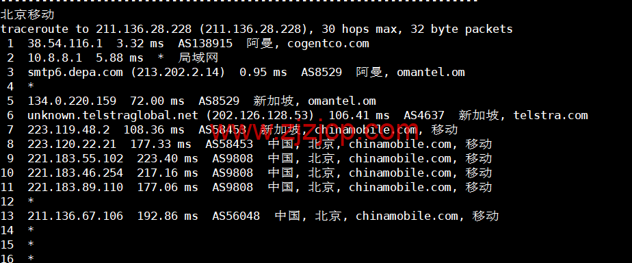 lightnode：阿曼马斯喀特机房 VPS，1 核/2G 内存/50G 硬盘/1000GB 流量/100Mbps 带宽，月付.71 起，简单测评