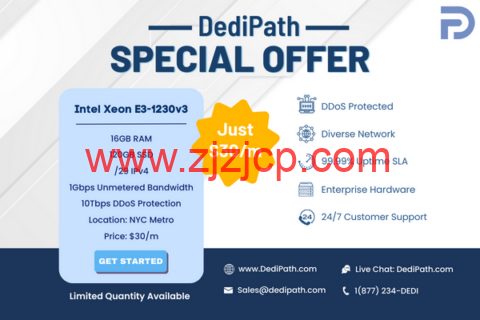 DediPath：限时优惠，特价独服，E3-1230v3/16G 内存/120GB SSD 或 2TB HDD/1Gbps 带宽不限流量，/月