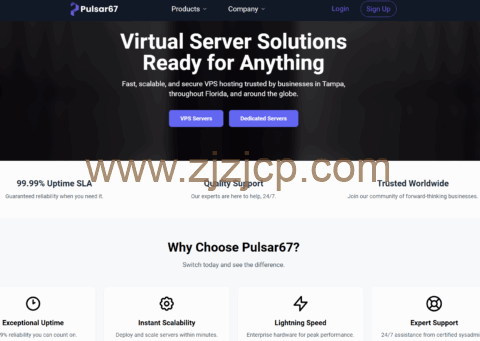 Pulsar67：坦帕 vps，1 核/1GB/10GB/5TB@1Gbps 带宽，$1/月