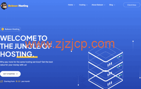 BaboonHosting：荷兰 VPS，€12.99/年起，荷兰 IPv6 vps 年付 5 欧元起