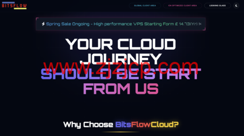 BitsFlowCloud 一周年促销：全球 EPYC/Intel VPS 低至 11.5 美元/年，覆盖美英德港日多机房