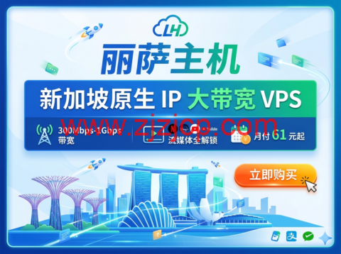 丽萨主机：新加坡原生 IP 大带宽 VPS 300Mbps-1Gbps 带宽 流媒体全解锁月付 61 元起